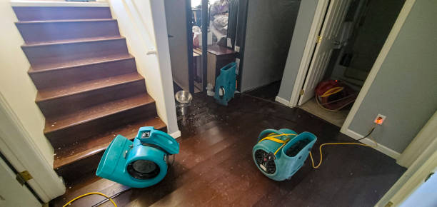 Best Water damage mitigation services  in Sussex, NJ